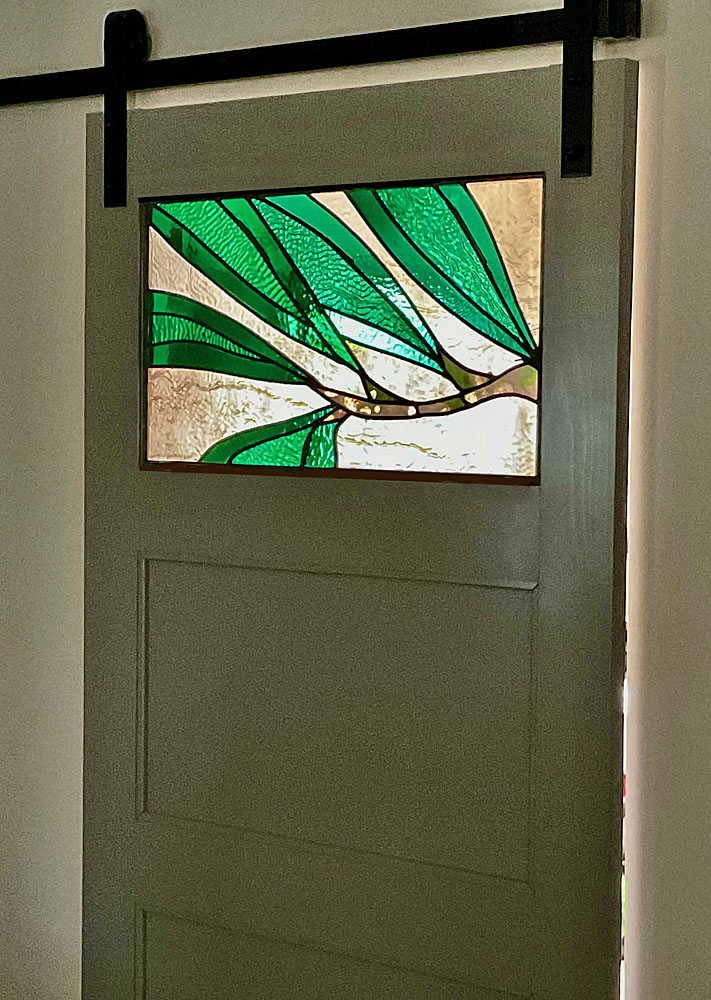 Large Cocculus Greenery